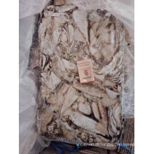 Gefrorener Pfeil-Squid (Nototodarus sloanii) 0-100g